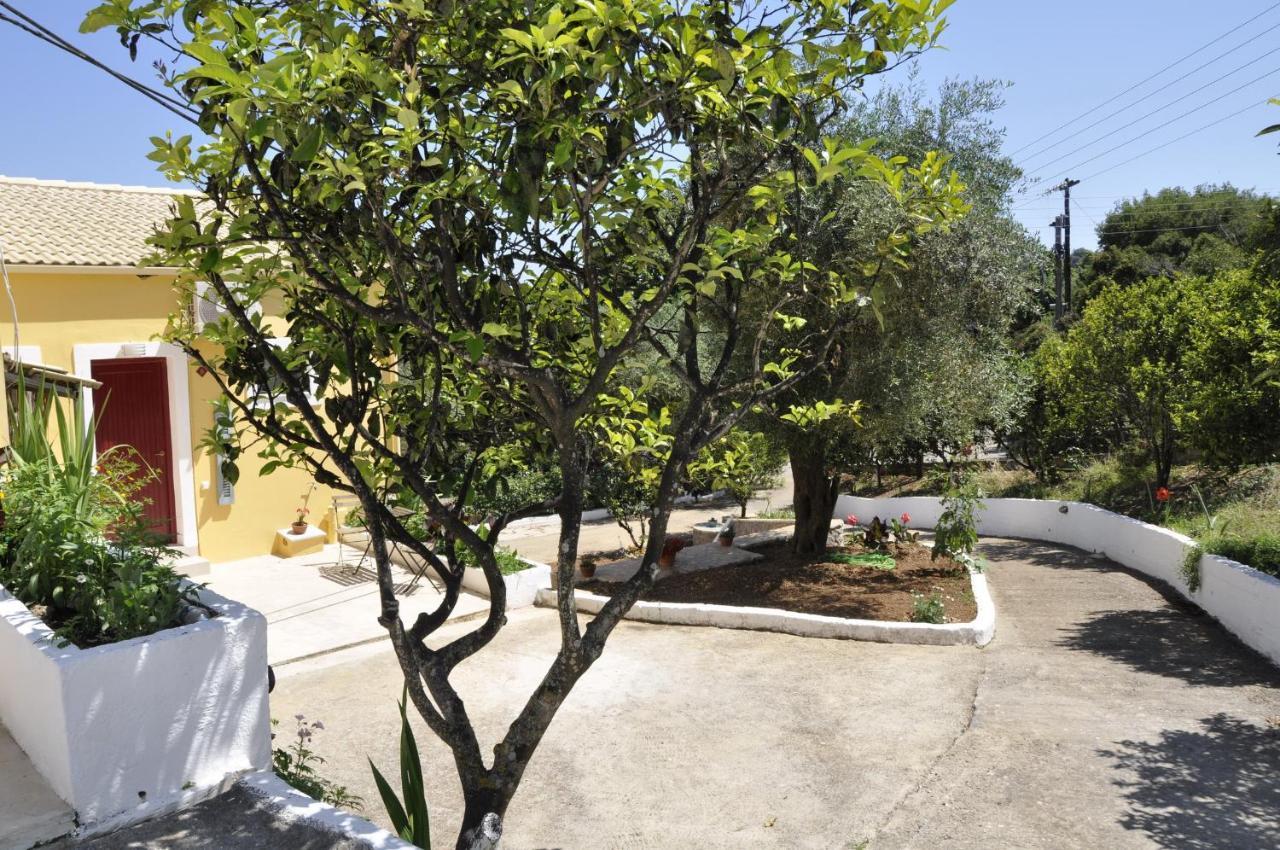 Braziliana Apartments Dassia  Ngoại thất bức ảnh